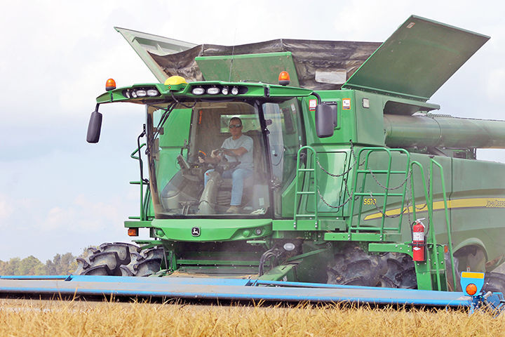 RICE HARVEST UNDERWAY
